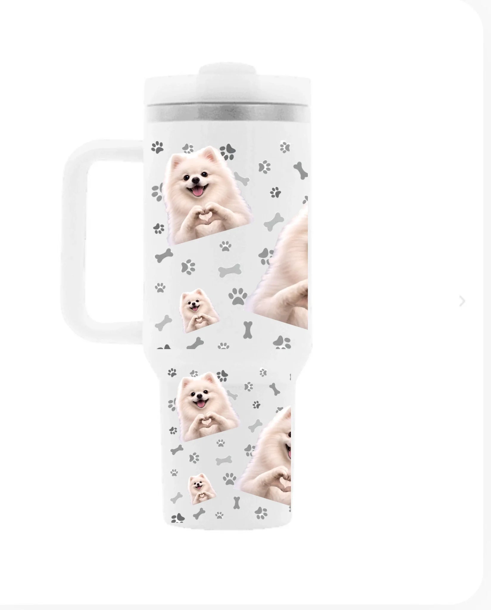 WhatsApp Image 2026-02-03 at 00.44.49